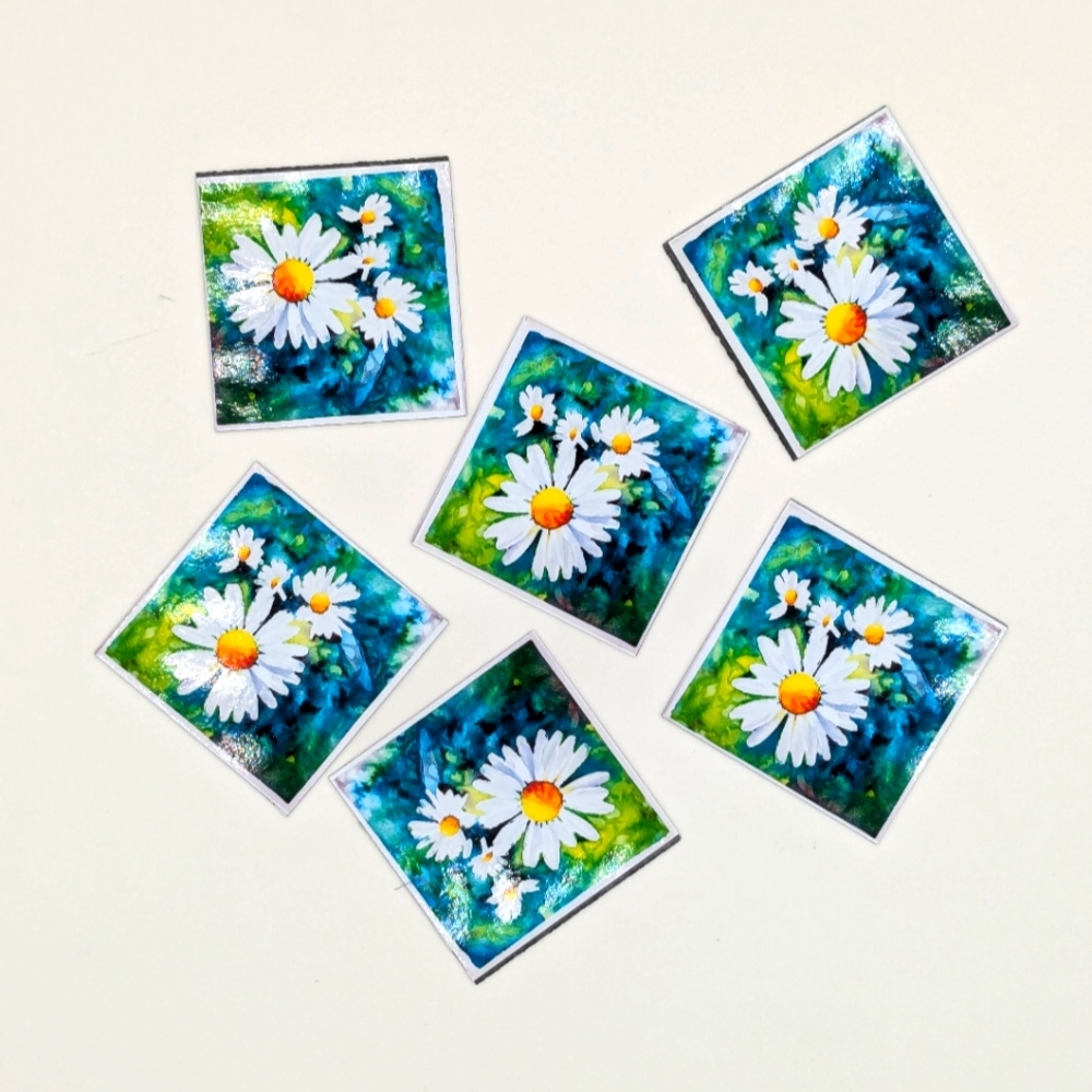 Set of 6 fridge magnets
